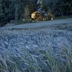 Glass House & Italy Terruggia